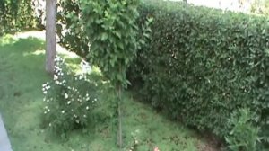 Поездка в Кара-Балты