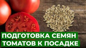 Как приготовить семена томатов для хранения.