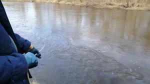 Находки на поисковый магнит (День 1)