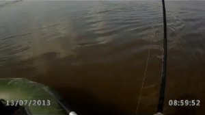 Хорошему попперу DEPS Pulse Cod достойный жерех.Asp Topwater Fishing