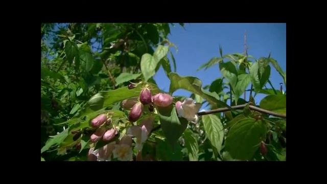 Losse teksten Ed Hoornik Jonathan Smit смотреть онлайн