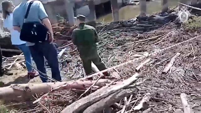 В Канашском районе обнаружено расчлененное тело женщины