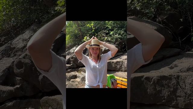 Обезьяны забирают бананы у туристов