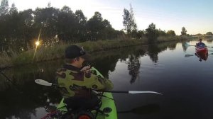 DUO - Realis Shinmushi - Australian Bass Fishing