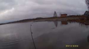 Trout fishing. Moscow region. Toll pond Silver Bowl. 21/11/2015. Part 1.