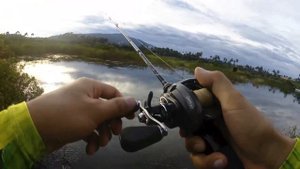 Casting Snakehead with Duo Realis Pencil 65