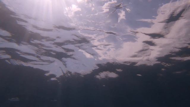 Плиты горбыля.
