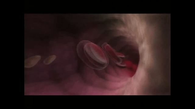 Metamorphoses: Monte Stettin at TEDxBrussels смотреть онлайн