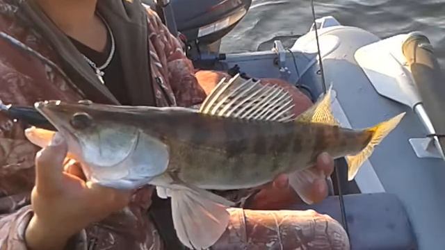 20140702 053739 смотреть онлайн