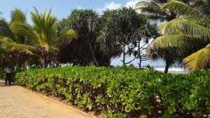 Centara Ceysands Resort & SPA