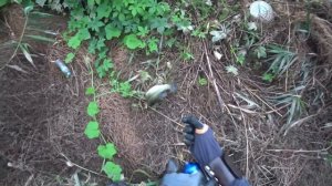 Охота с Рогаткой по реке(АРХИВ)SLINGSHOT FISHING