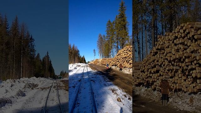 перевалка на реке Уфтюга,оговорился смотреть онлайн