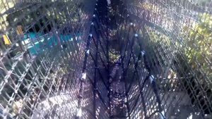 В парке развлечений "Дринвуд"