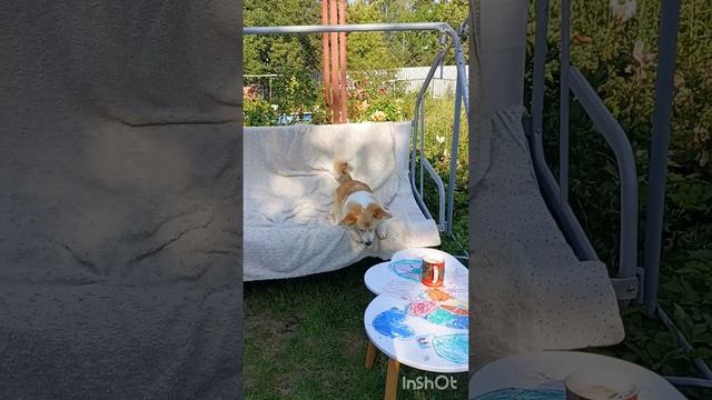 Весёлое чаепитие