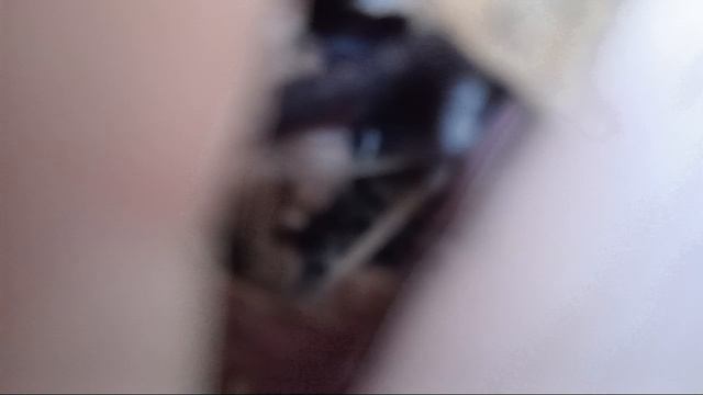 я 20 раз попал в лес смотреть онлайн