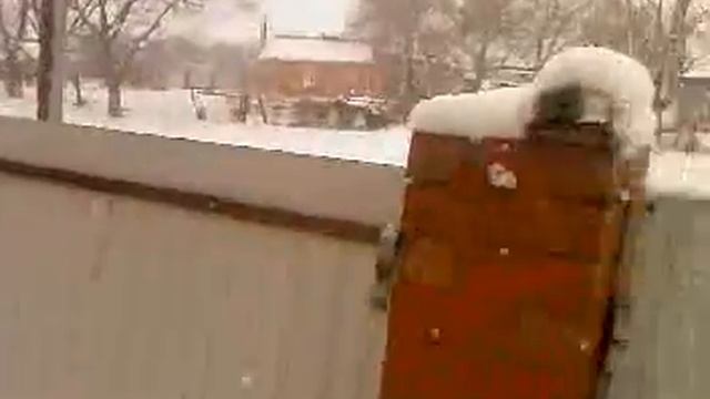 Челбасская зима