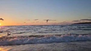 Море , солнце, пляж.Феодосия.