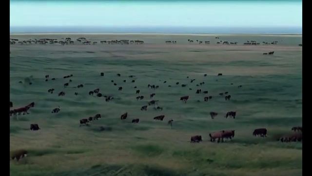 Взгляд сверху. Музыкальные истории смотреть онлайн