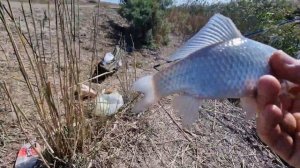 Рыбалка в октябре. Очень уловистая насадка на карася