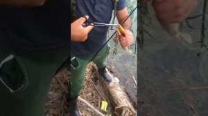 Ловля щуки в КБР.