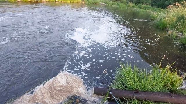 р. Пышма. Сухоложский Р-Н. Ловим на мормышинг (Гортоп) 3.07.23г смотреть онлайн