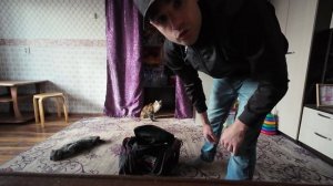 МЯУРИЦЦИО НЕ ХОЧЕТ ВОЗВРАЩАТЬСЯ ДОМОЙ 04. 10. 2024