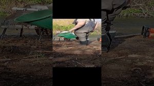 золотая лихорадка, поиск золотых россыпей