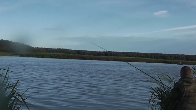 Вываживание крупного леща. смотреть онлайн