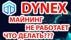 Не работает майнинг Dynex. Ошибка майнинга Dynex. Пул отбрасывает шары. Как устранить проблему?