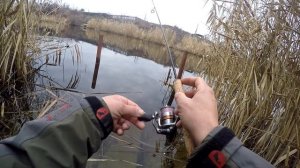 Зимний спиннинг shimano cardiff 60 ul xt