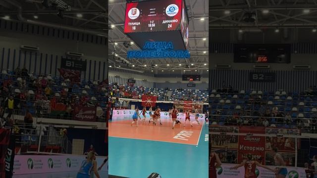 “ДИНАМО» ПОБЕЖДАЕТ В ТУЛЕ В 5 ТУРЕ #shorts #лицаволейбола #волейбол #volleyball #rusvolley #sport