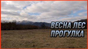 ВЕСНА ЛЕС ПРОГУЛКА