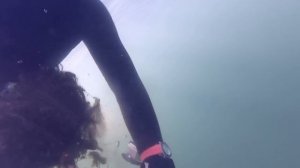 Вред всем от браконьерских сетей!