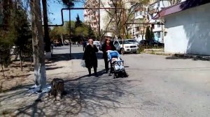 Сумгайыт 1-й микрорайон дворы улицы города пешие прогулки  апрель 2021