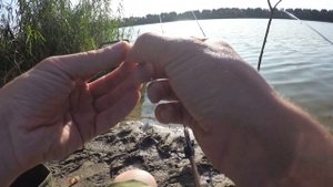 ФИДЕР VS ПОПЛАВОК