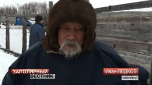 Убойная кампания началась в СПК «Харп» поселка Красное