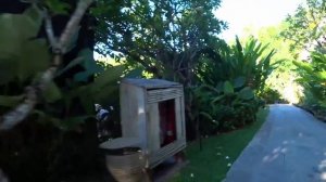 Цены в Таиланде. Какие цены на еду и отели на Пхукете? Пляж с самолетами