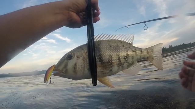 Wade Fishing for Snapper using artificial lure | Ultra Light Fishing Philippines смотреть онлайн
