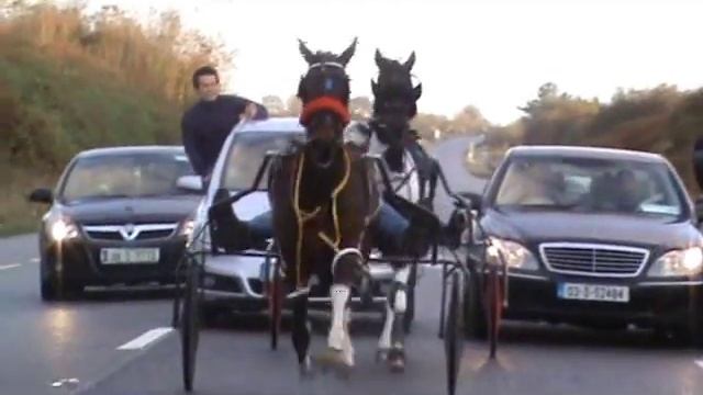 Cynthia Vs Flo Joe смотреть онлайн