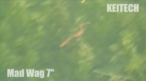 KEITECH Mad Wag 7