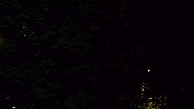 Ночной Железногорск