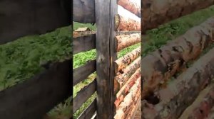 Работаем В Сулхаре. На вахте