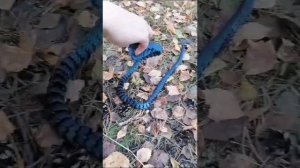 🐍✨ Мерцающая кобра из 3D принтера