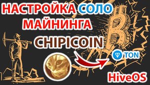 ⚡️ Майнинг ChipiCoin (CHAPA) в HiveOS. Обмен ChipiCoin на Ton. Подробная пошаговая инструкция