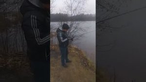 Шимано скорпион 151 дс, заброс 12г на 50м