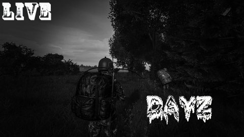 Играем в дейз