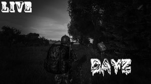 Играем в дейз