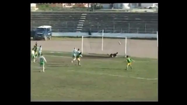 Marko Mijatovic _ SK Lushnja goal смотреть онлайн