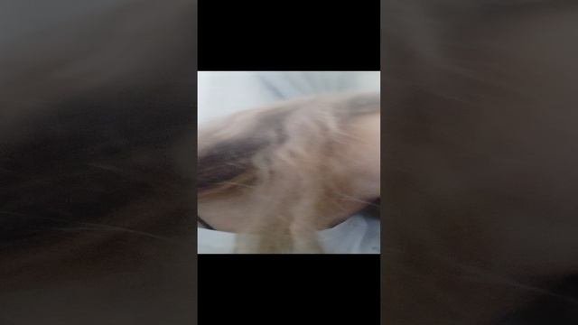 ✌проходим игру✌