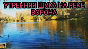 Утренняя щука на реке Ворона.